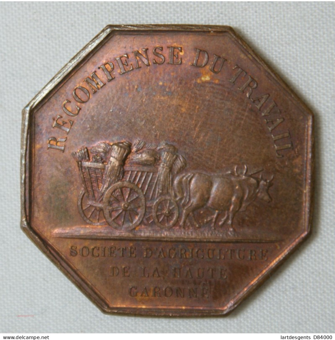 JETON - Olivier De Serres, Récompense Du Travail, Haute Garonne (bronze) - Other & Unclassified
