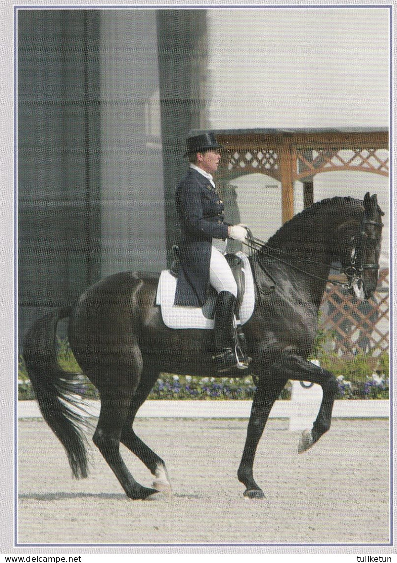 Horse - Cheval - Paard - Pferd - Cavallo - Cavalo - Caballo - Häst - Dressage - Kyra Kyrklund - Max SWB - Horse College - Cavalli