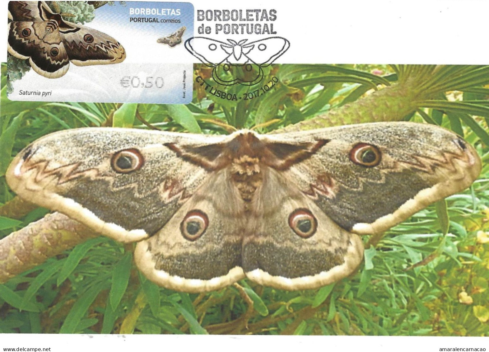 CARTE MAXIMUM- CARTOLINA MAXIMA - MAXIMUM KARTE - MAXIMUM CARD - PORTUGAL - PAPILLON GRAND-PAON NOCTURNO - Saturnia Pyri - Butterflies