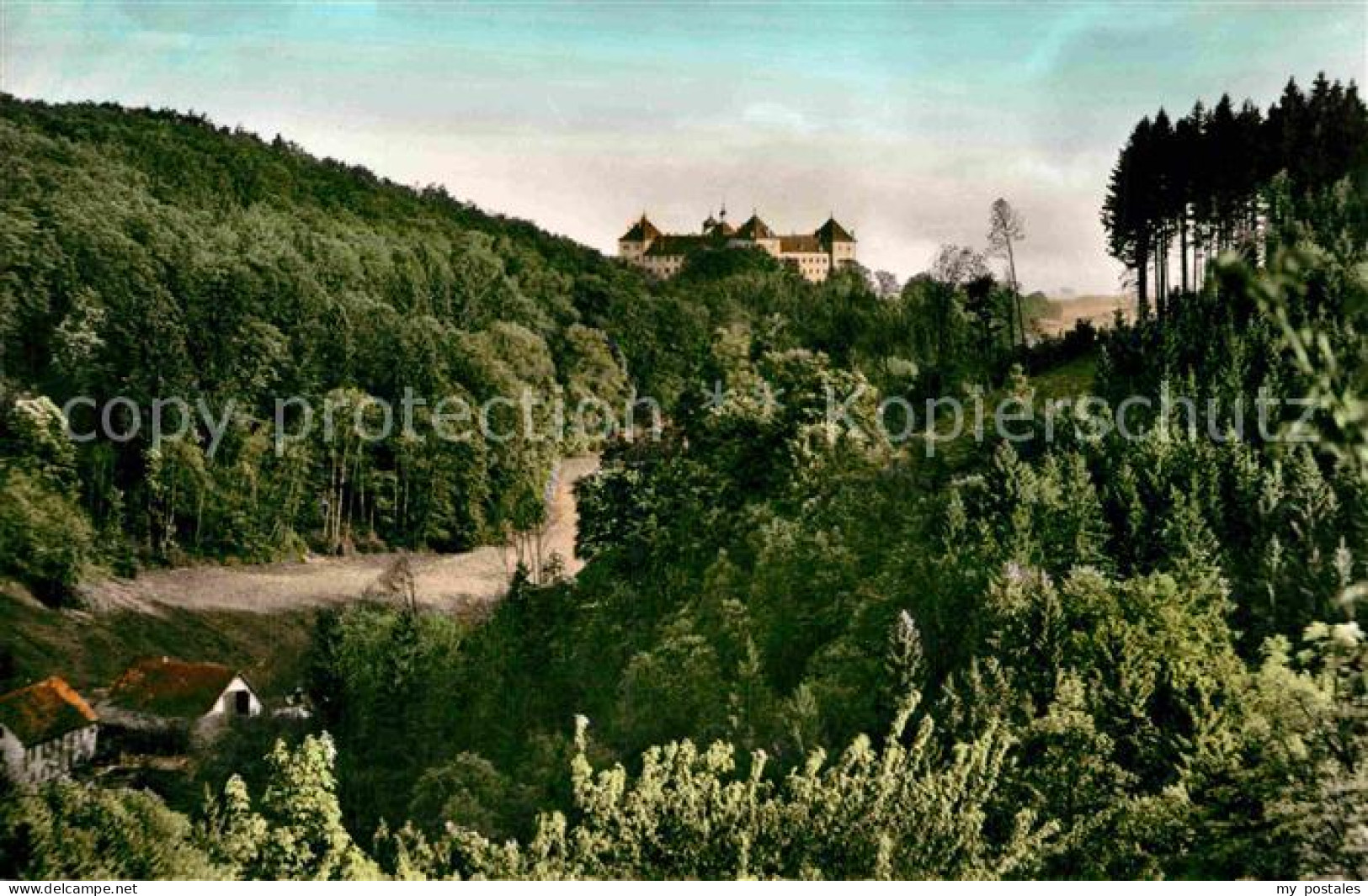 72843516 Alttann Allgaeu Blick Auf Schloss Wolfegg Alttann Allgaeu - Altri & Non Classificati