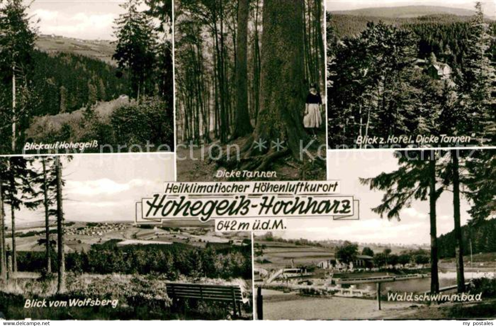 72843424 Hohegeiss Harz Wolfsberg Waldschwimmbad Hotel Dicke Tannen Hohegeiss - Autres & Non Classés