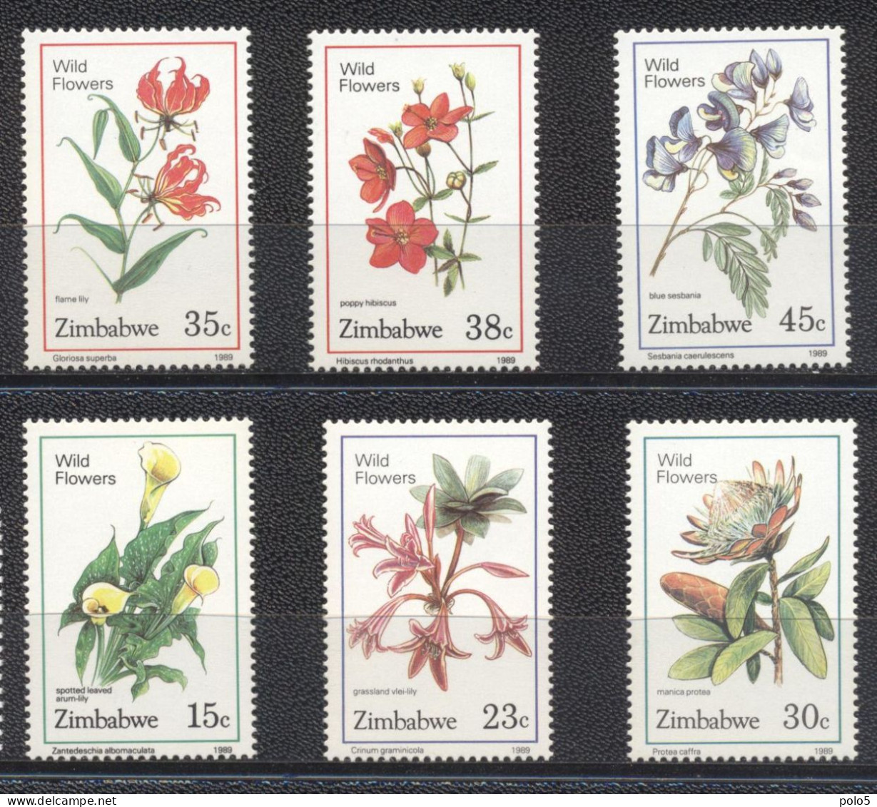 Zimbabwe 1989- Wild Flowers Set (6v) - Zimbabwe (1980-...)