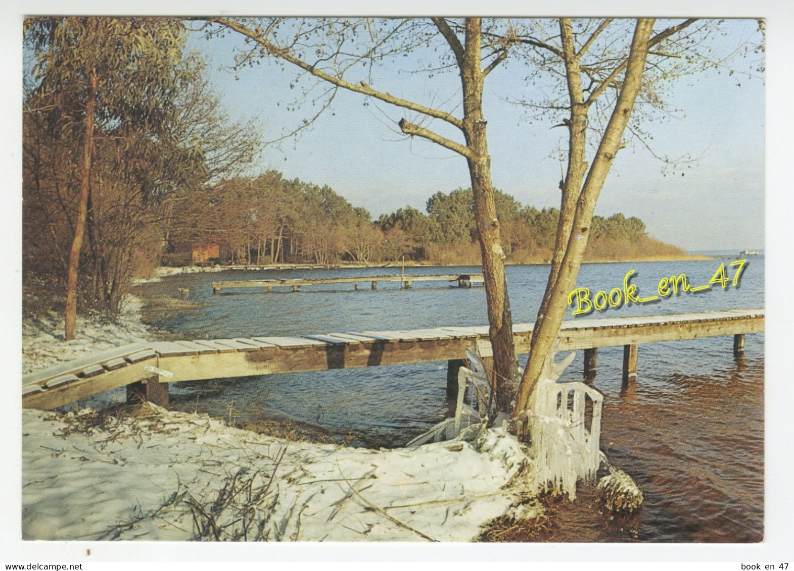 {92010} 40 Landes , Bords Du Lac De Biscarrosse , Janvier 1985 - Biscarrosse