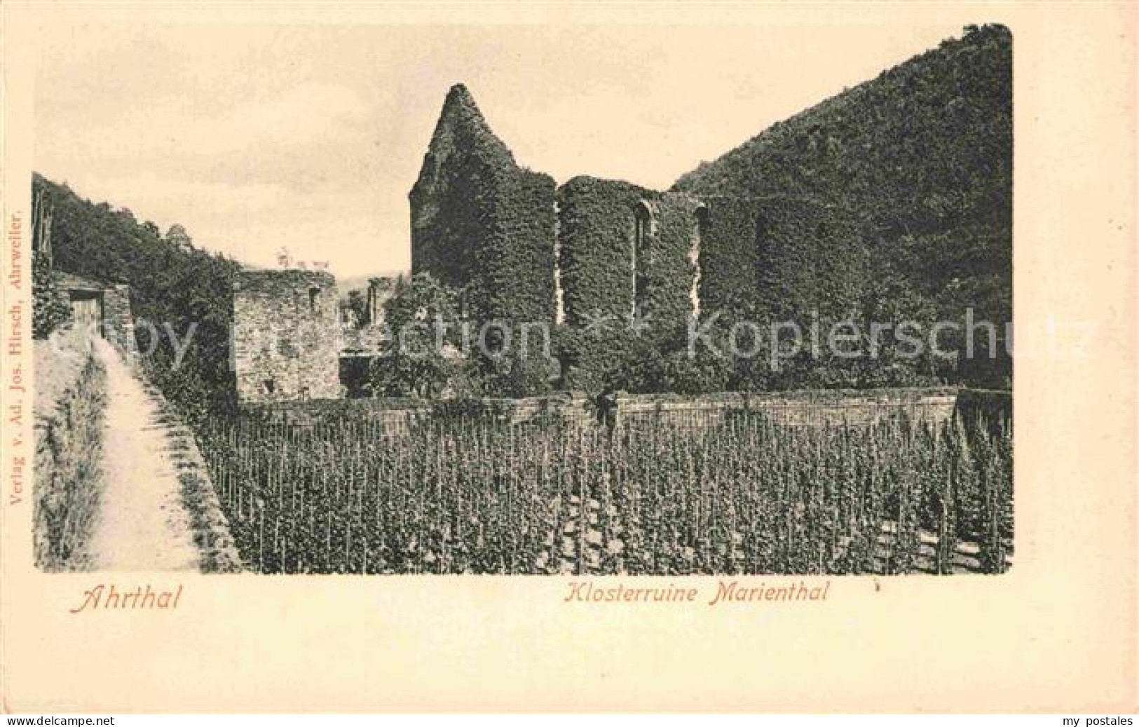 72843270 Ahrtal Klosterruine Marienthal Ahrtal - Bad Neuenahr-Ahrweiler