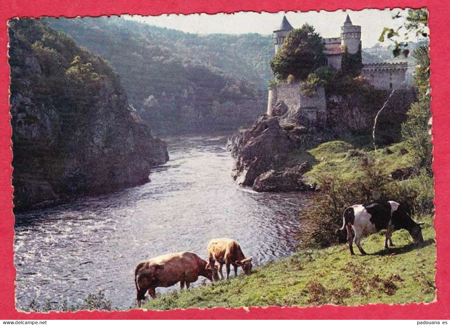 AC999 42 LOIRE LES GORGES DE LA LOIRE CHATEAU DE LA ROCHE PRES ROANNE  ANIMAUX VACHES  - - Roanne