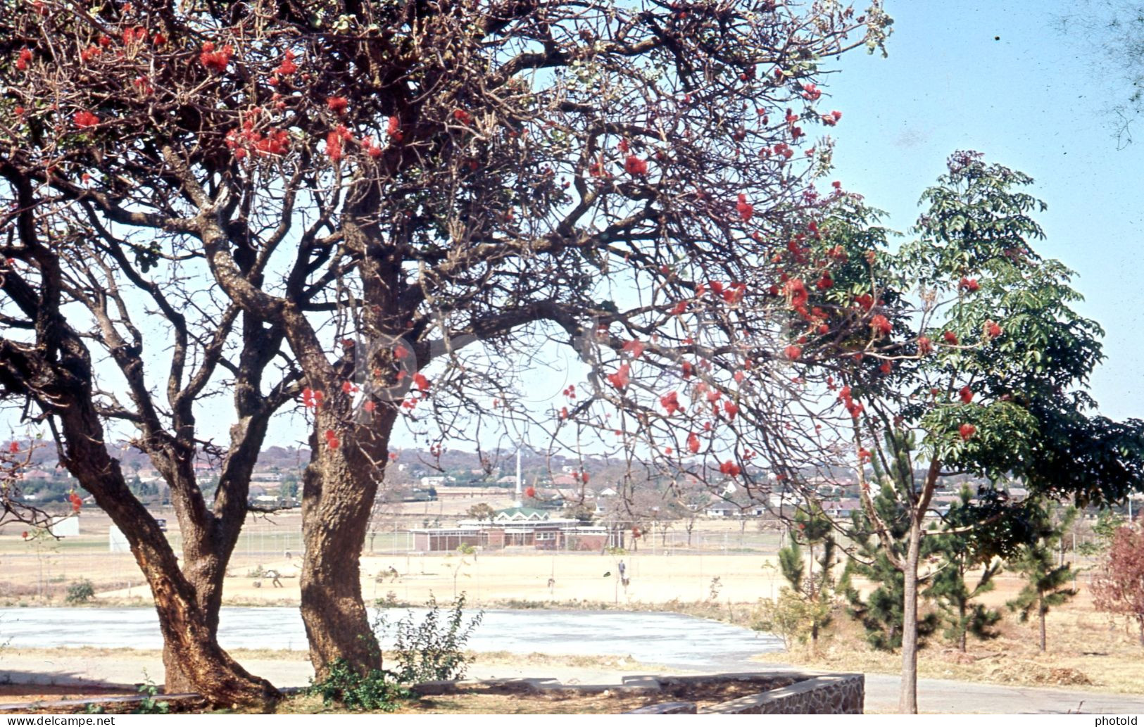 10 SLIDES SET 1964 RODHESIA SALISBURY HARARE ZIMBABWE AFRICA AFRIQUE AMATEUR 35mm SLIDE NOT PHOTO FOTO nb4121