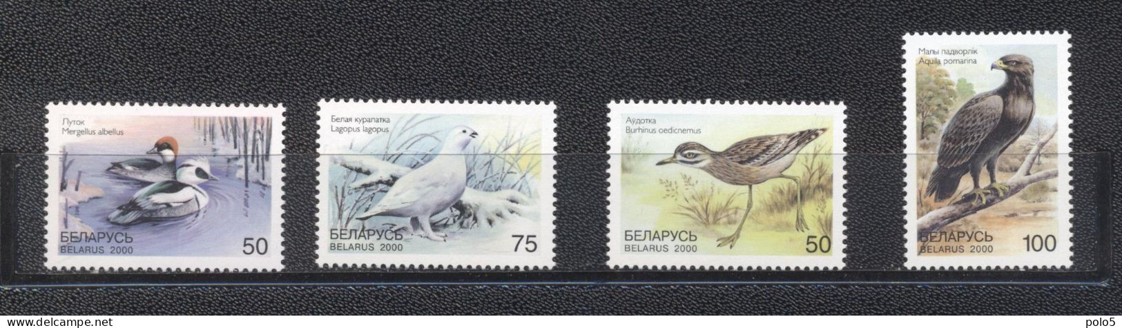 Belarus 2000- Rare Birds Of Belarus Set (4v) - Bielorussia