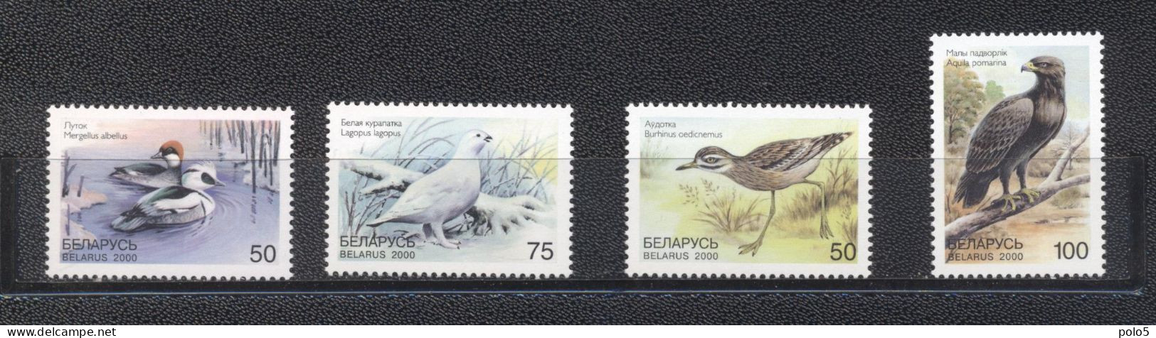 Belarus 2000- Rare Birds Of Belarus Set (4v) - Bielorrusia