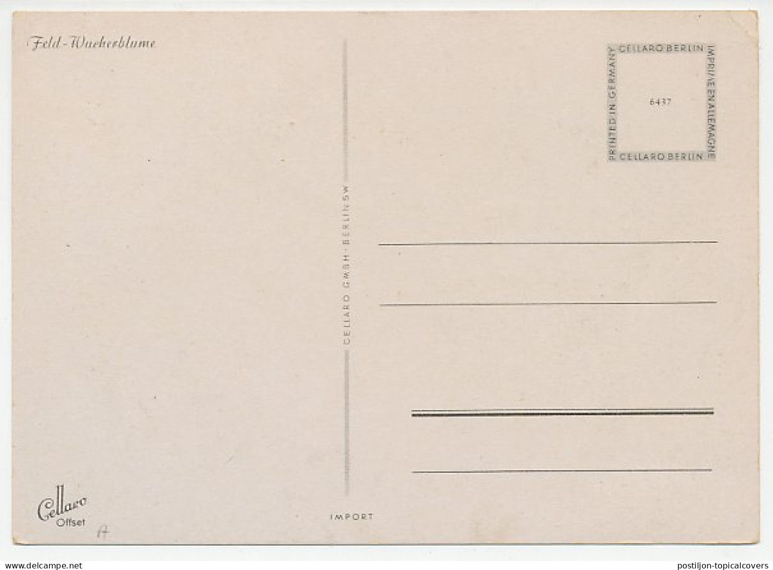 Maximum Card Austria 1955 Crocus - Flower Exhibition - Andere & Zonder Classificatie