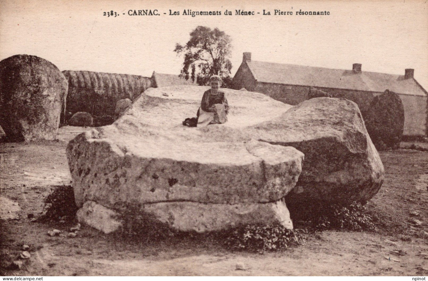 C P A  -  56  -  CARNAC  - Alignement Du Menec La Pierre Résonnante - Carnac