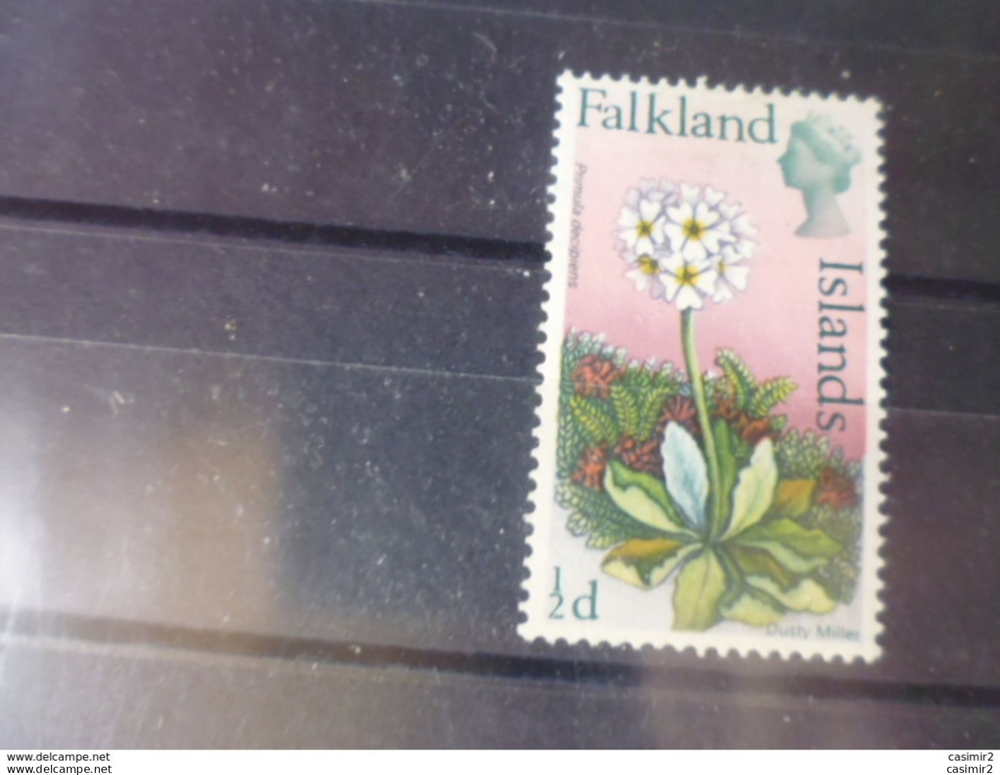 FALKLAND YVERT N° 160* - Islas Malvinas