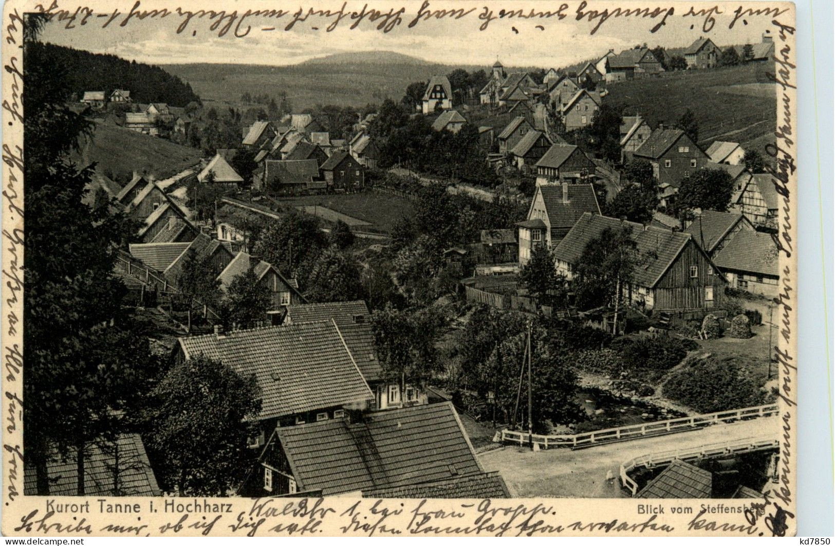 Tanne Im Hochharz - Sonstige & Ohne Zuordnung