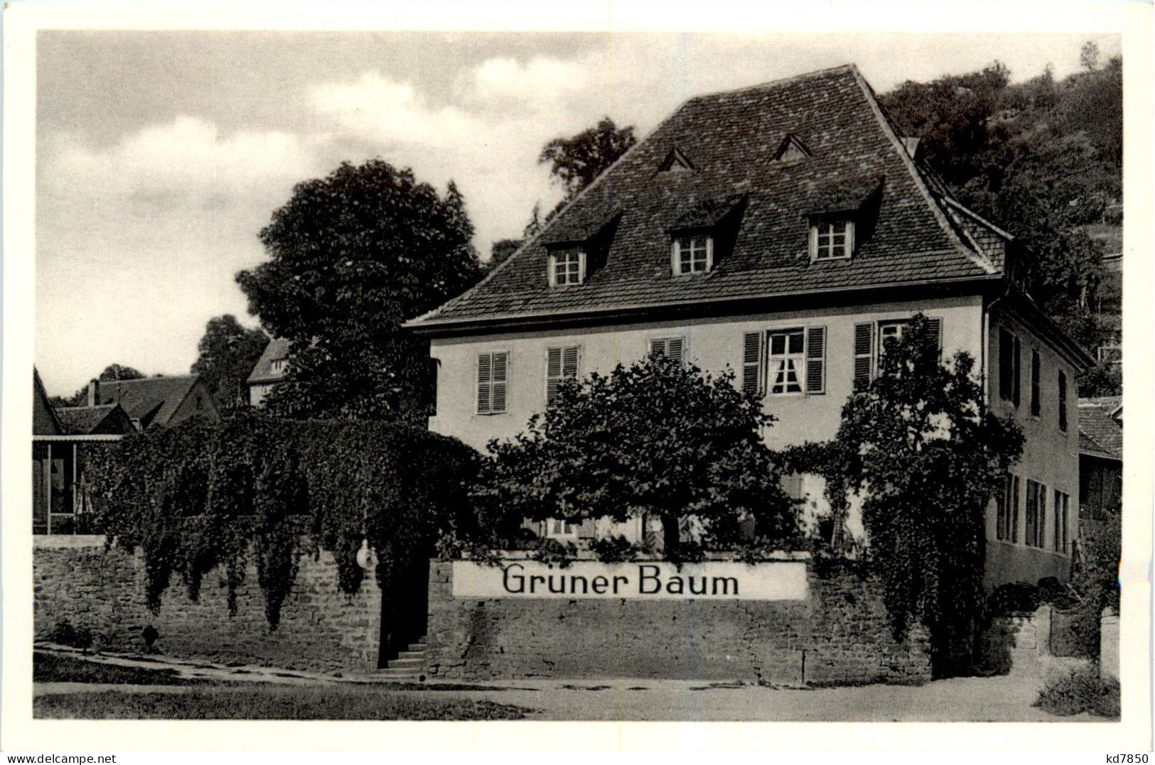 Eberbach - Gasthaus Zum Grünen Baum - Eberbach