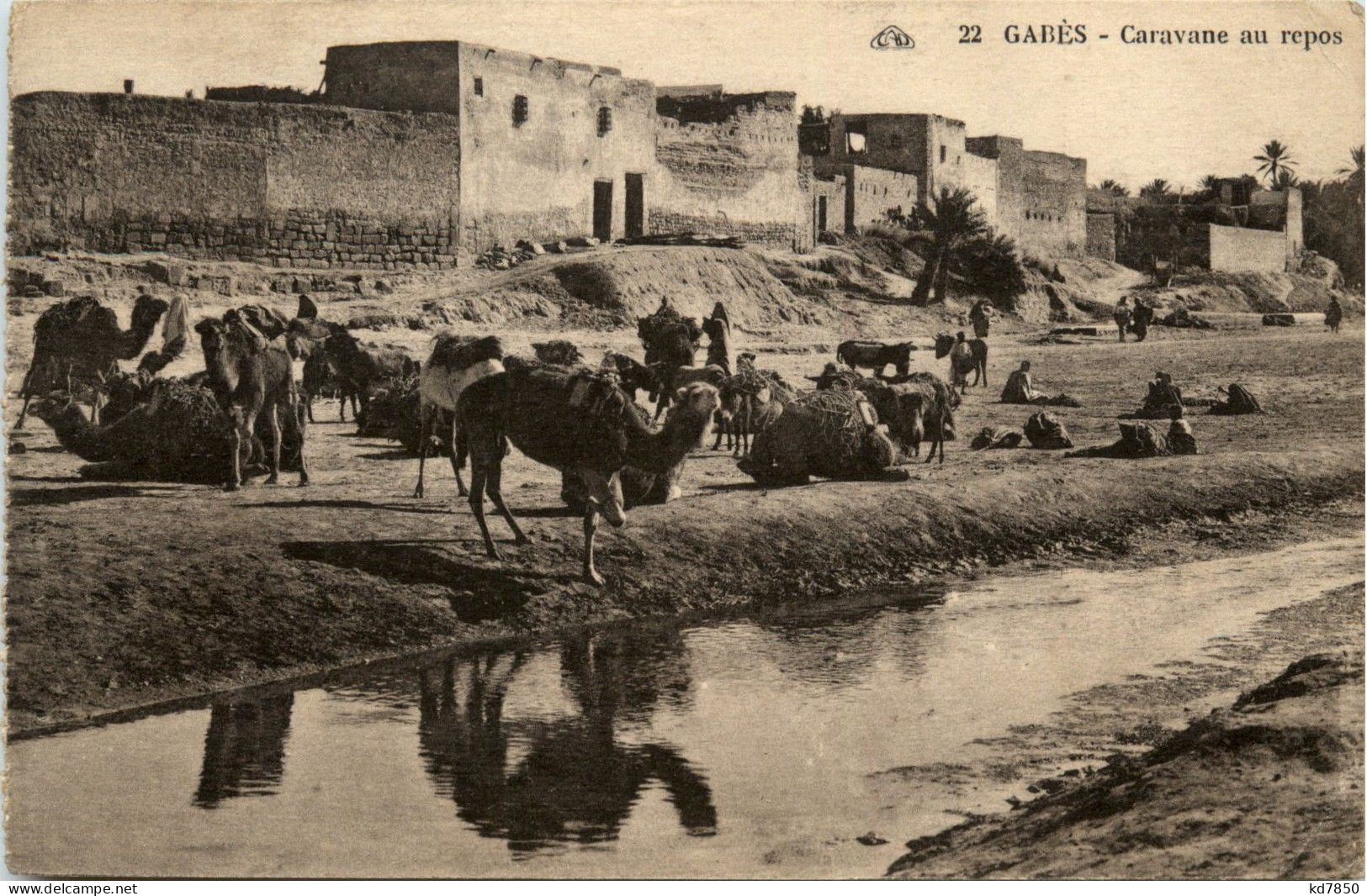 Gabes - Caravane Au Repos - Tunisia