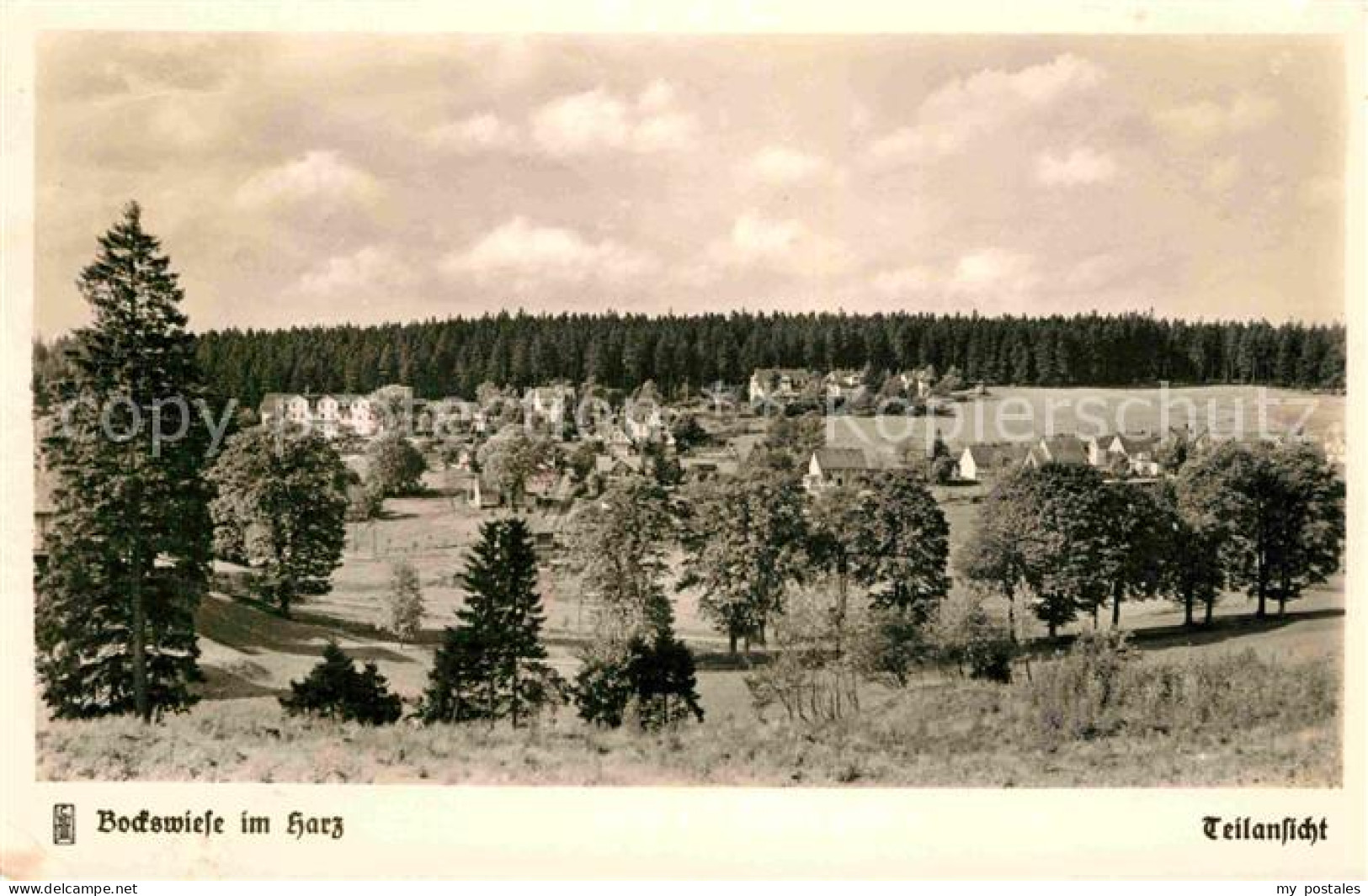 72842130 Bockswiese-Hahnenklee Harz Panorama Bockswiese-Hahnenklee - Goslar