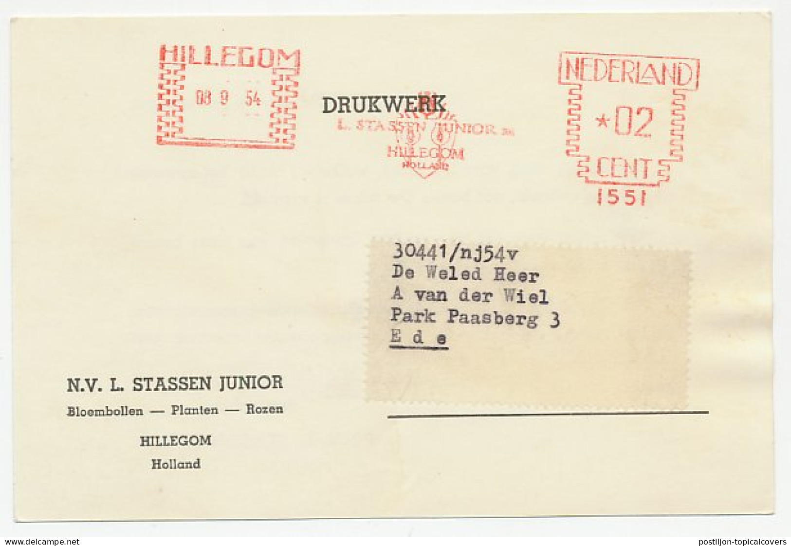 Firma Briefkaart Hillegom 1954 - Bloembollen - Unclassified