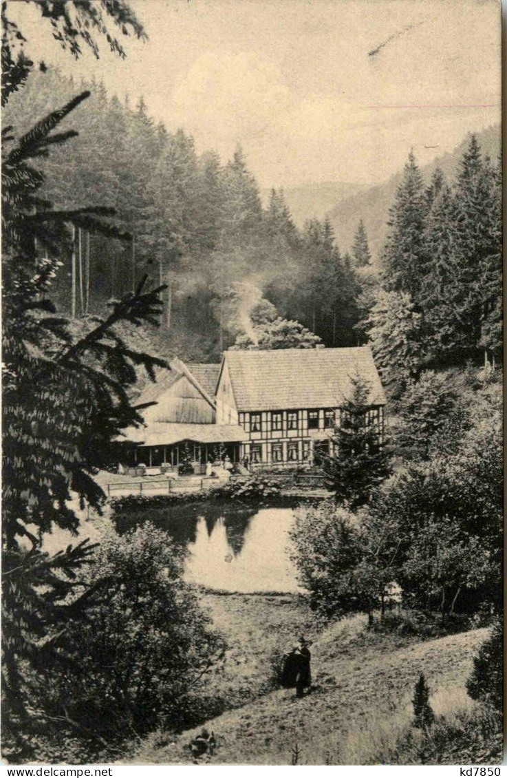 Wolfsbachmühle Bei Hohegeiss - Braunlage