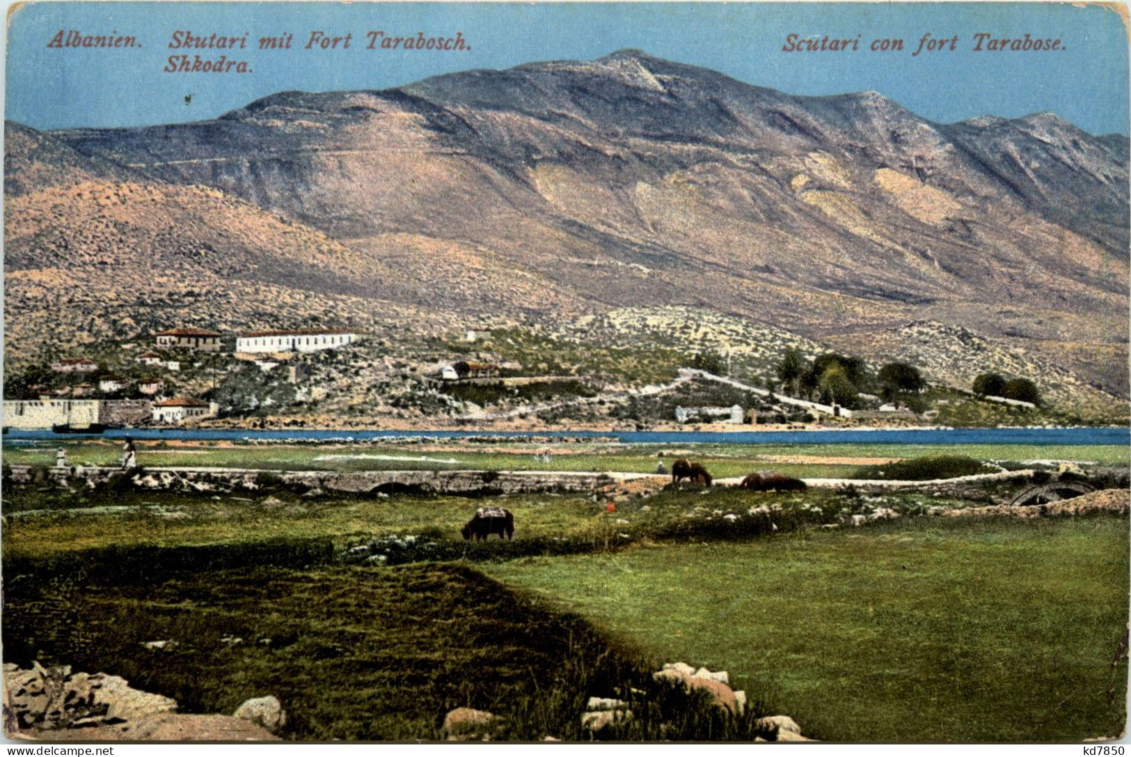 Scutari Con Fort Tarabose - Albanie