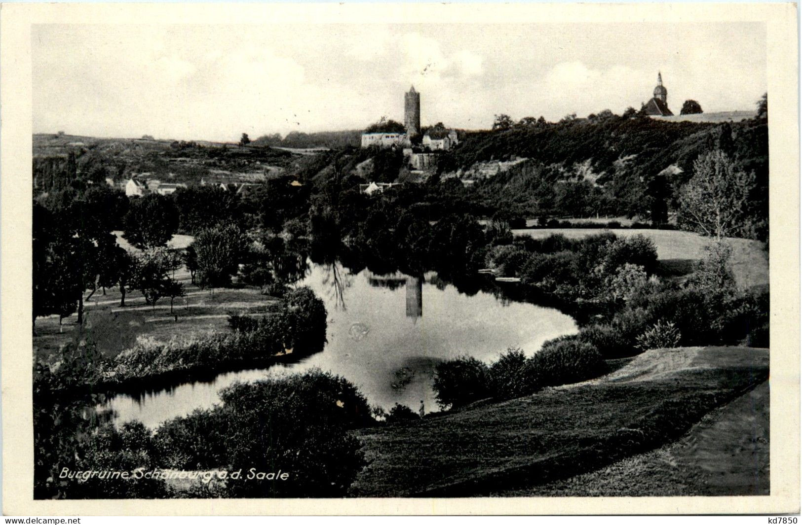 Saaleck/Sachsen-Anhalt - Burgruine Schönburg A.d. Saale - Andere & Zonder Classificatie