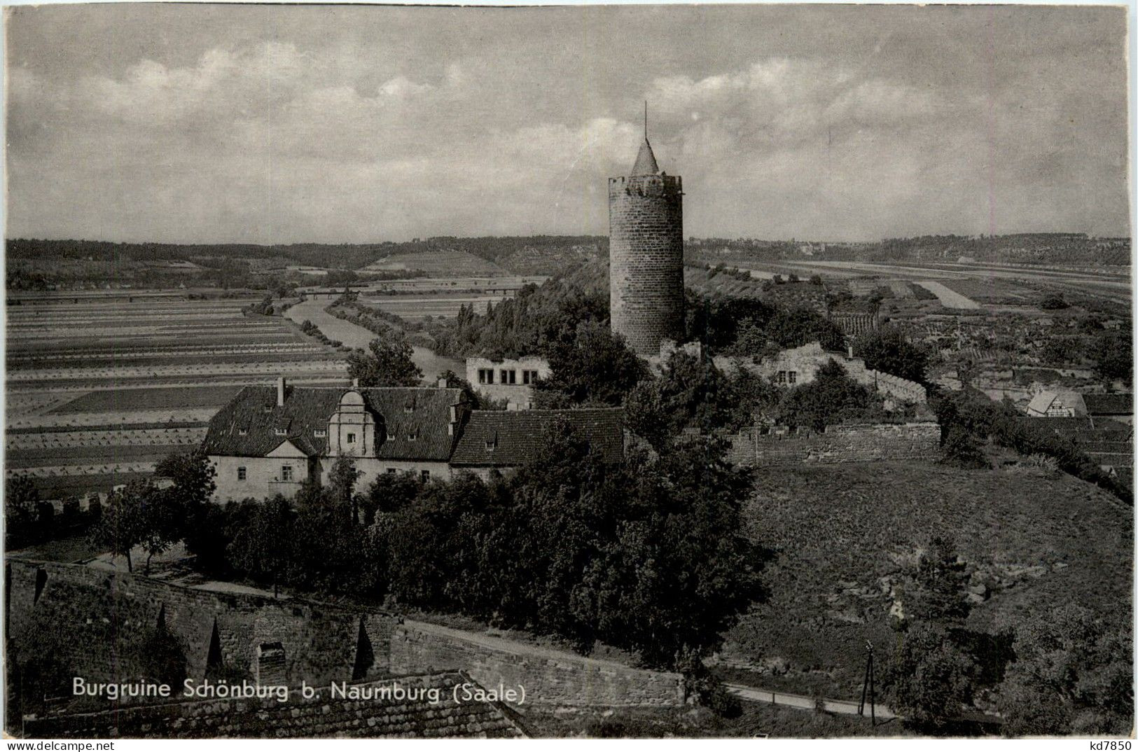 Naumburg/Saale - Burgruine Schönburg A.d. Saale - Naumburg (Saale)