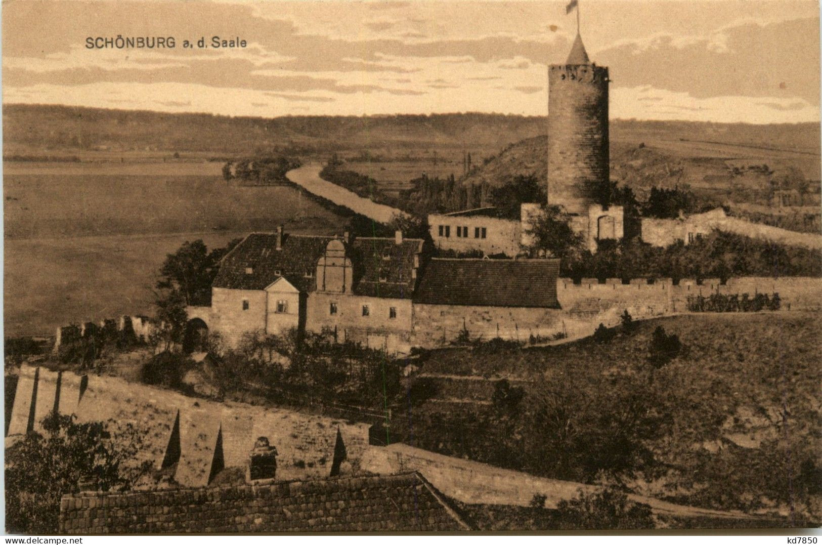 Saaleck/Sachsen-Anhalt - Burgruine Schönburg A.d. Saale - Altri & Non Classificati