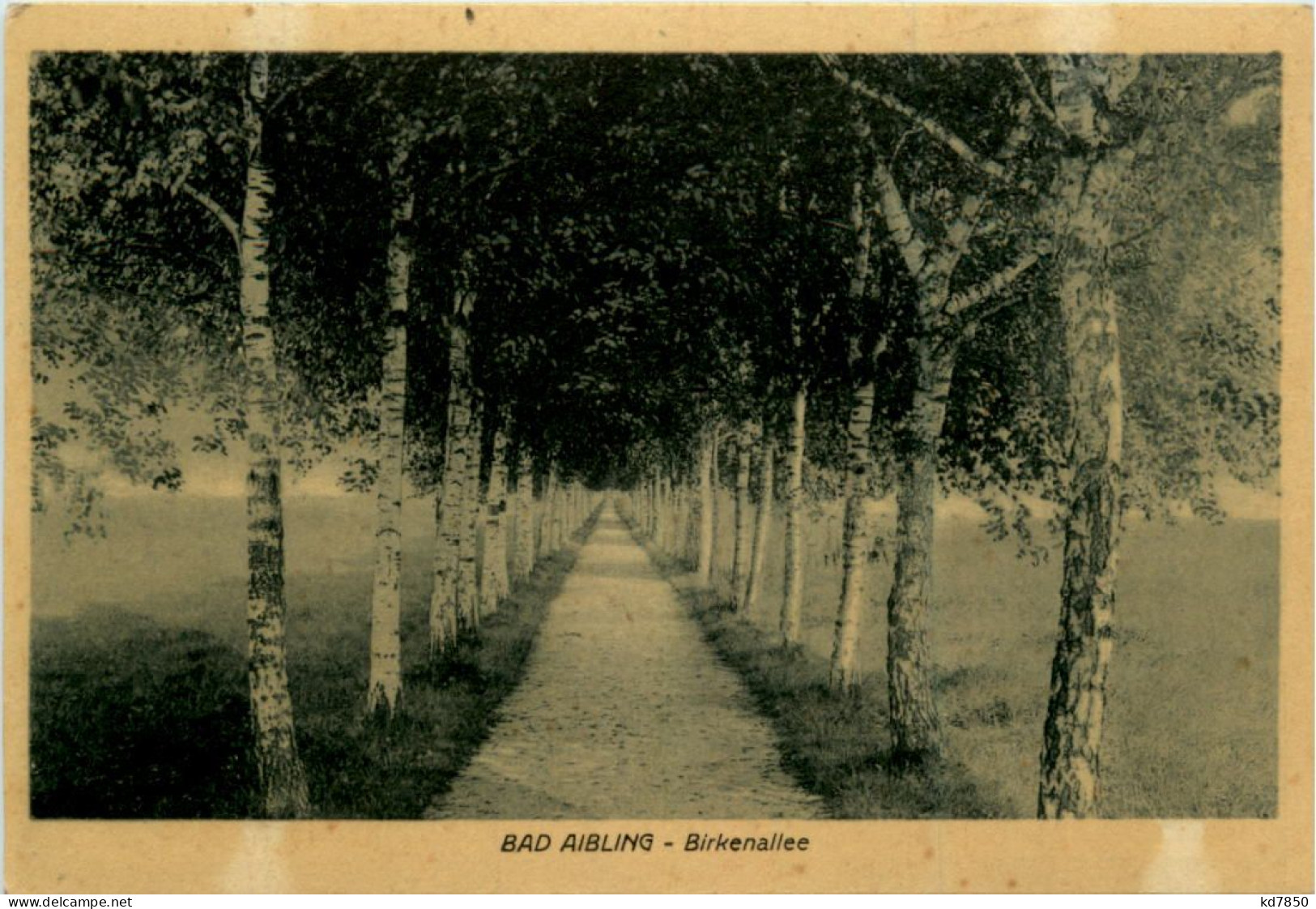 Bad Aibling, Birkenallee - Bad Aibling