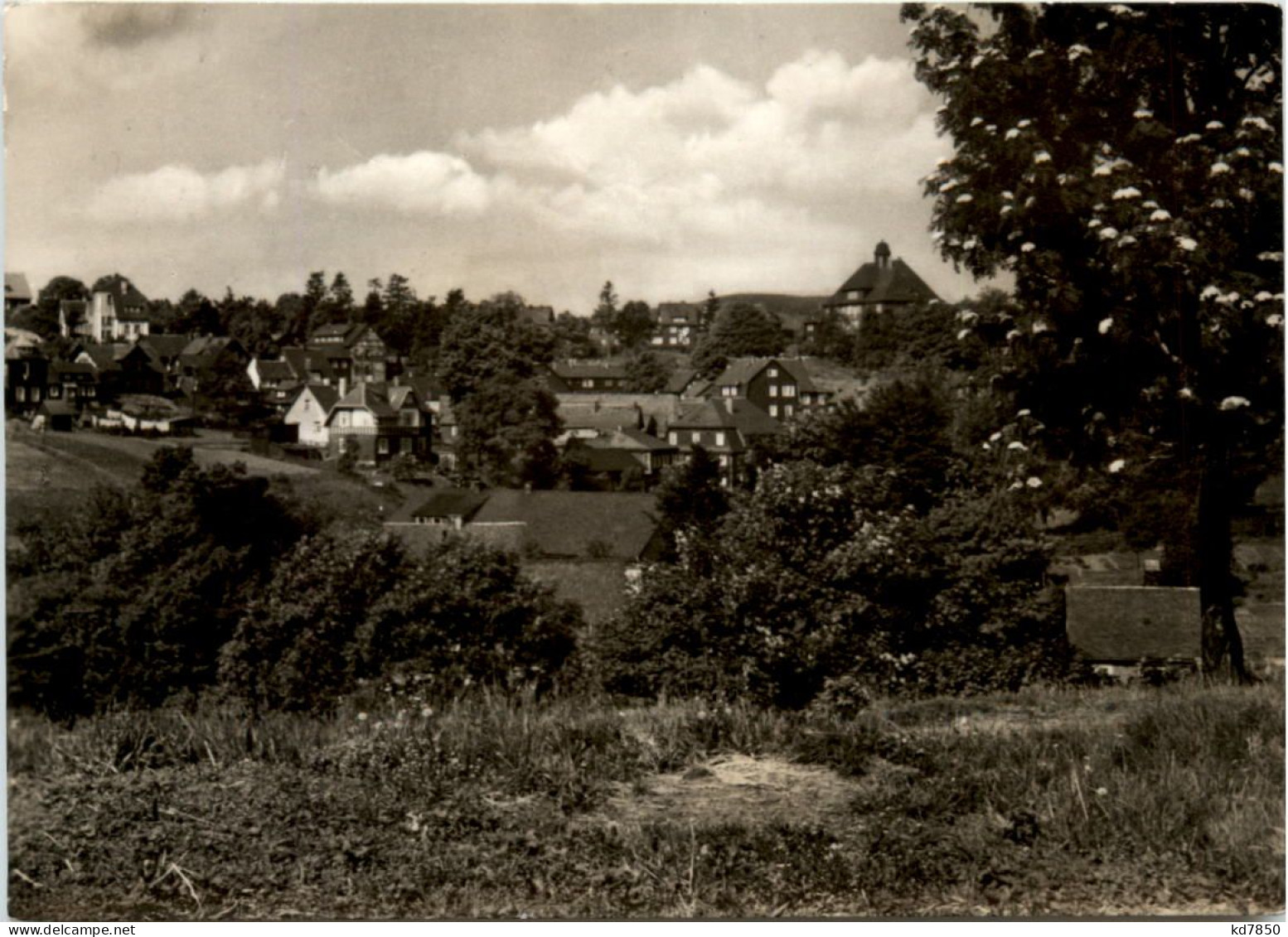 Schmiedefeld Am Rennsteig - Suhl