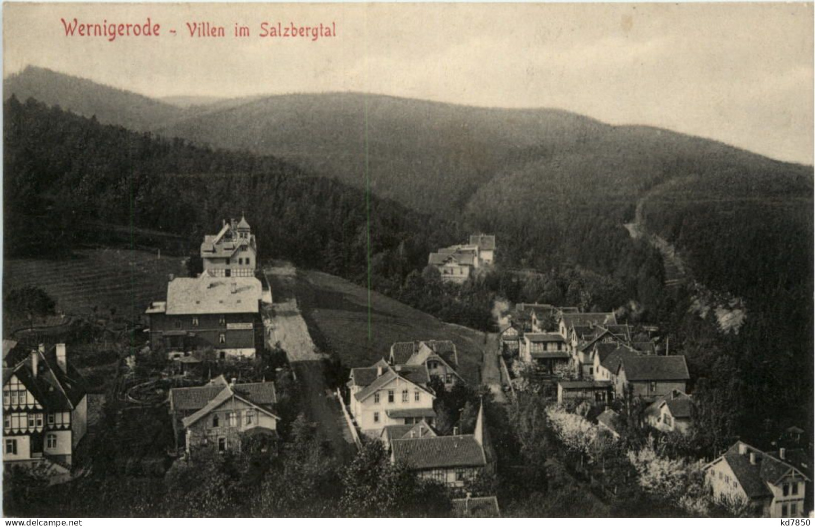 Wernigerode, Villen Im Salzbergtal - Wernigerode