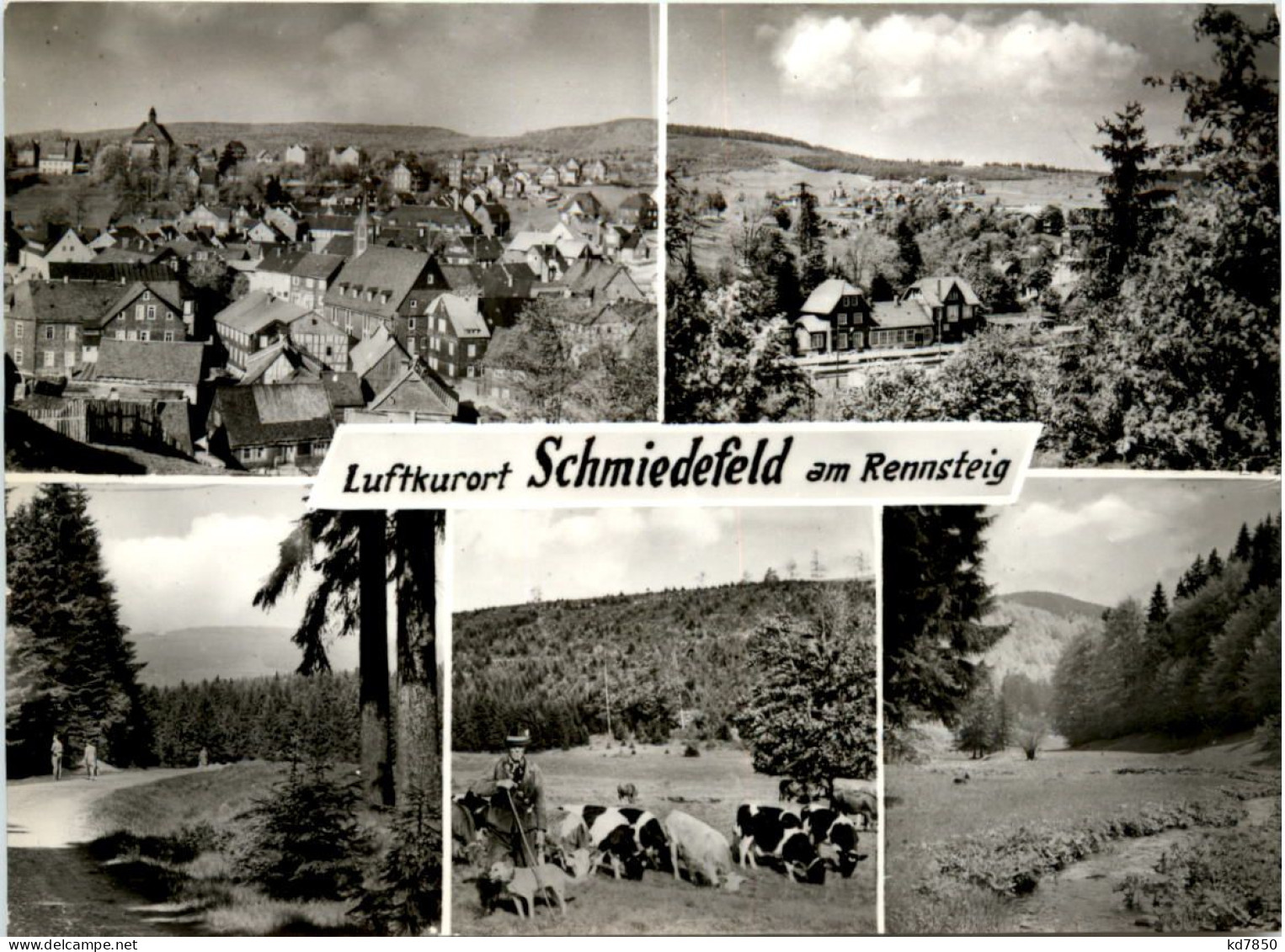 Kurort Schmiedefeld A. Rstg., Div. Bilder - Suhl