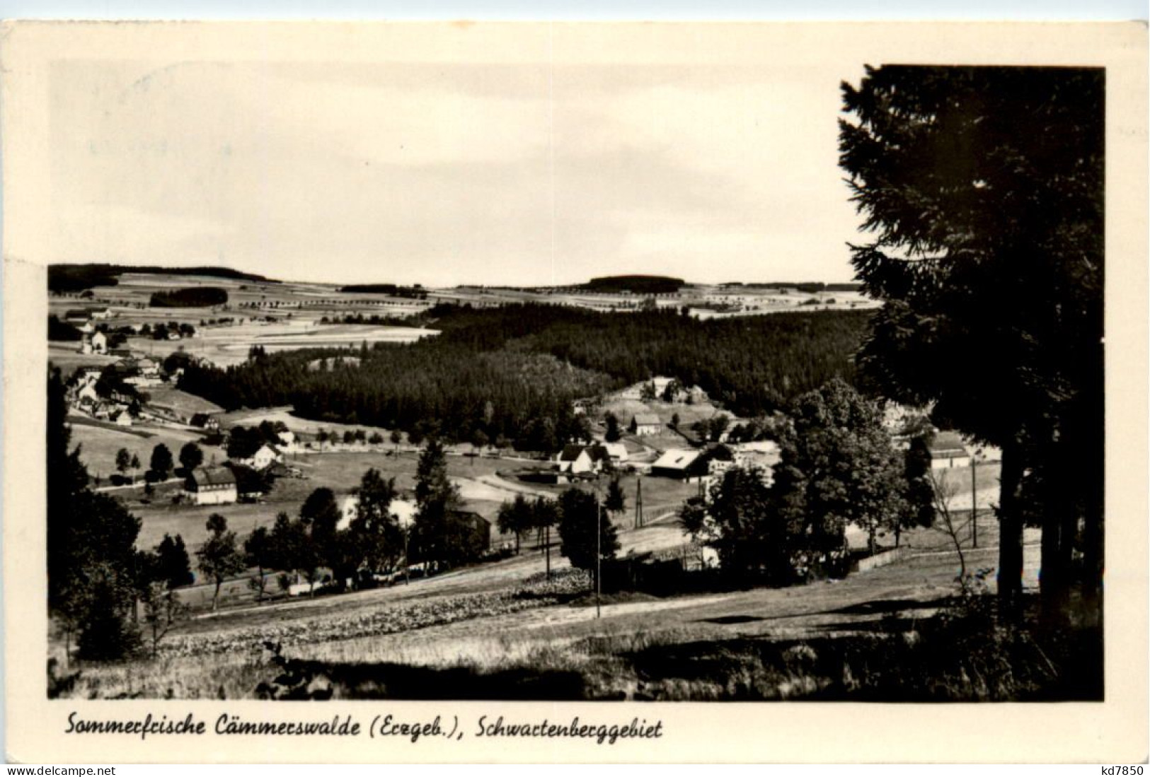 Cämmerswalde I. Erzgebirge, Schwartenberggebiet - Other & Unclassified