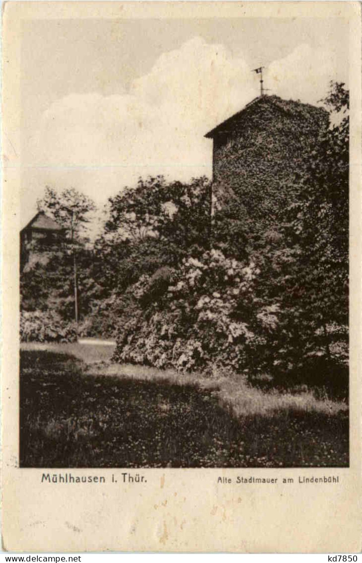 Mühlhausen, Alte Stadtmauer Am Lindenbühl - Mühlhausen