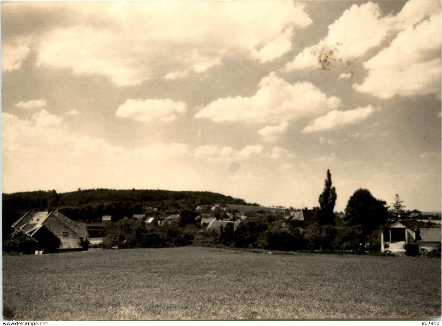 Spechtshausen Im Tharandter Wald - Tharandt