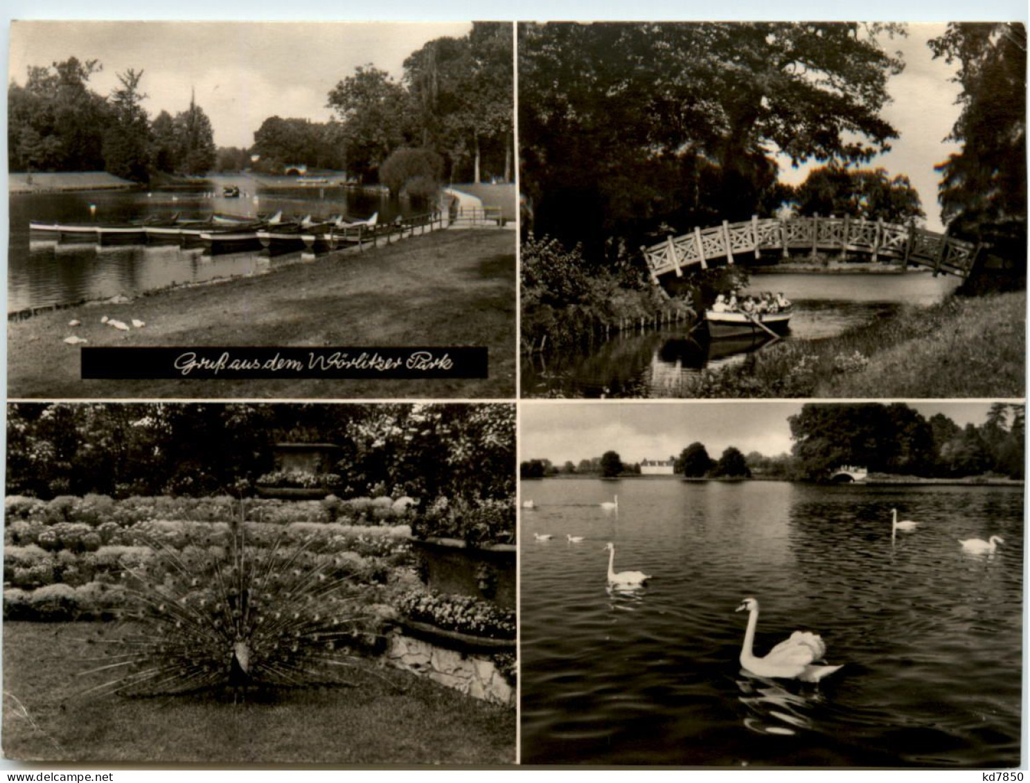 Gruss Aus Dem Wörlitzer Park, Div. Bilder - Woerlitz