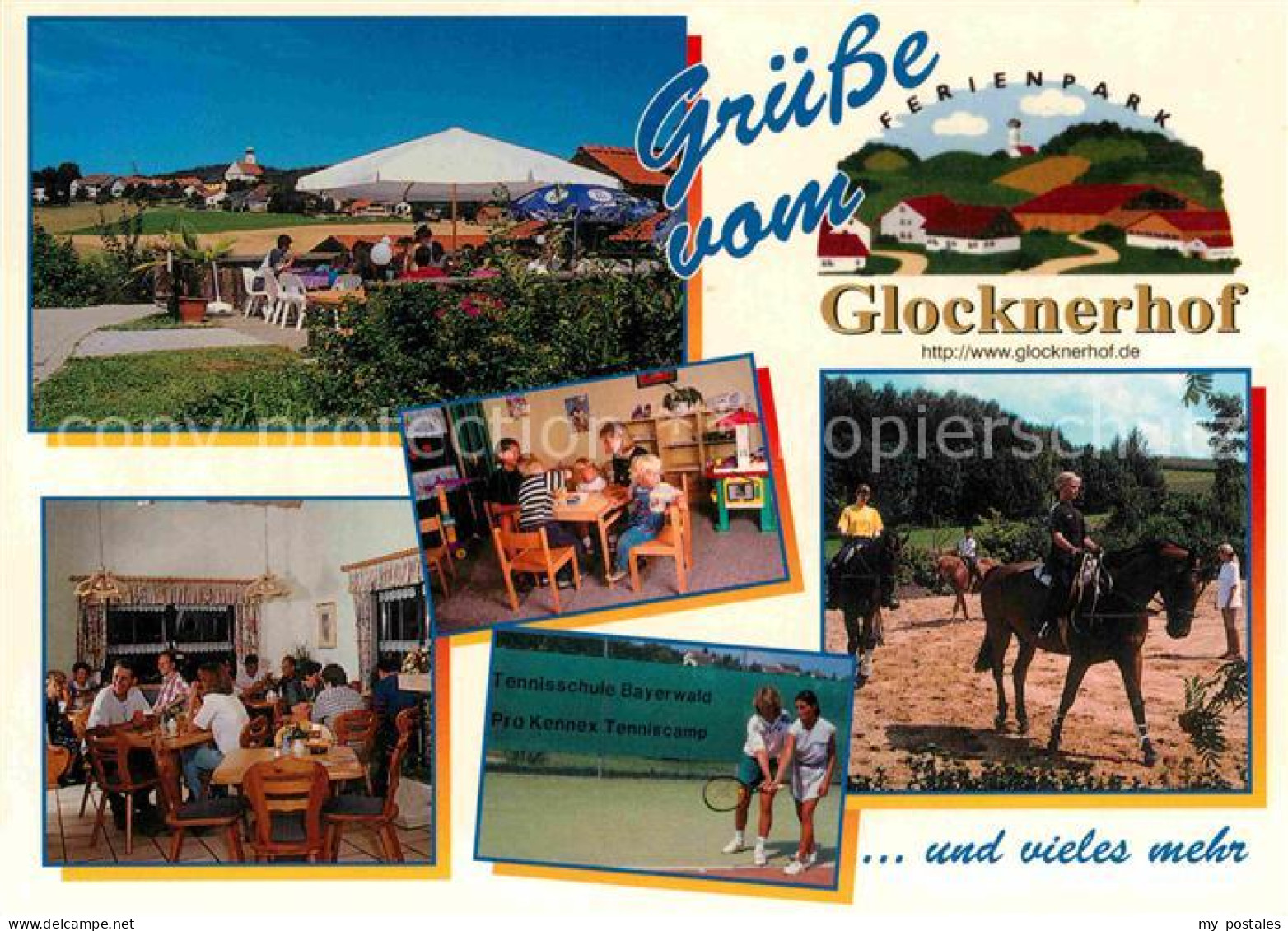 72841769 Stamsried Glocknerhof Reiten Tennis Stamsried - Autres & Non Classés