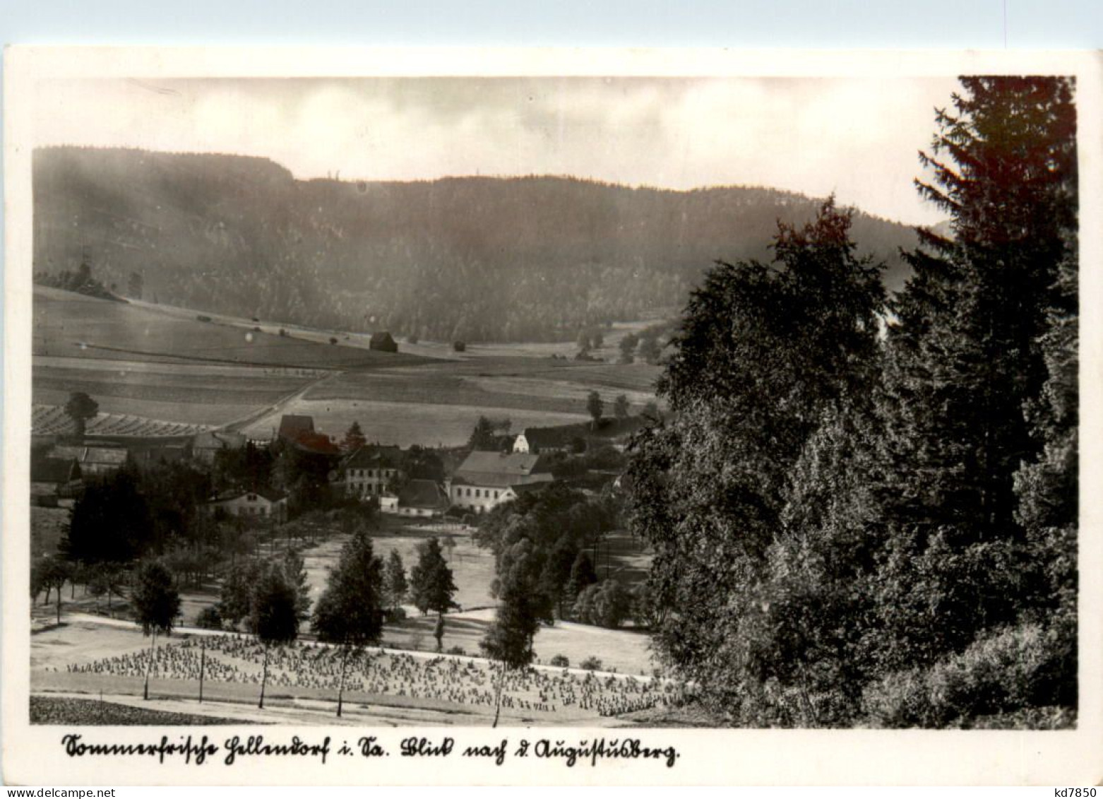 Hellendorf Mit Blick Nach Augustusburg - Bad Gottleuba-Berggiesshuebel