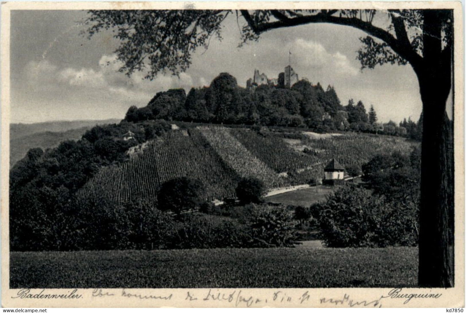 Badenweiler, Burgruine - Badenweiler
