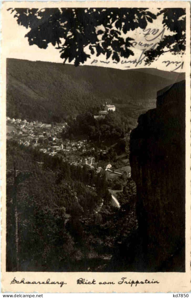 Schwarzburg, Blick Vom Trippstein - Saalfeld