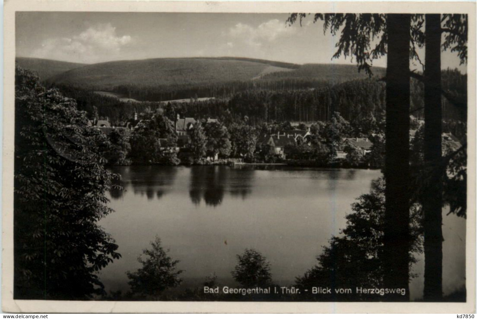 Bad Georgenthal, Blick Vom Herzogsweg - Georgenthal