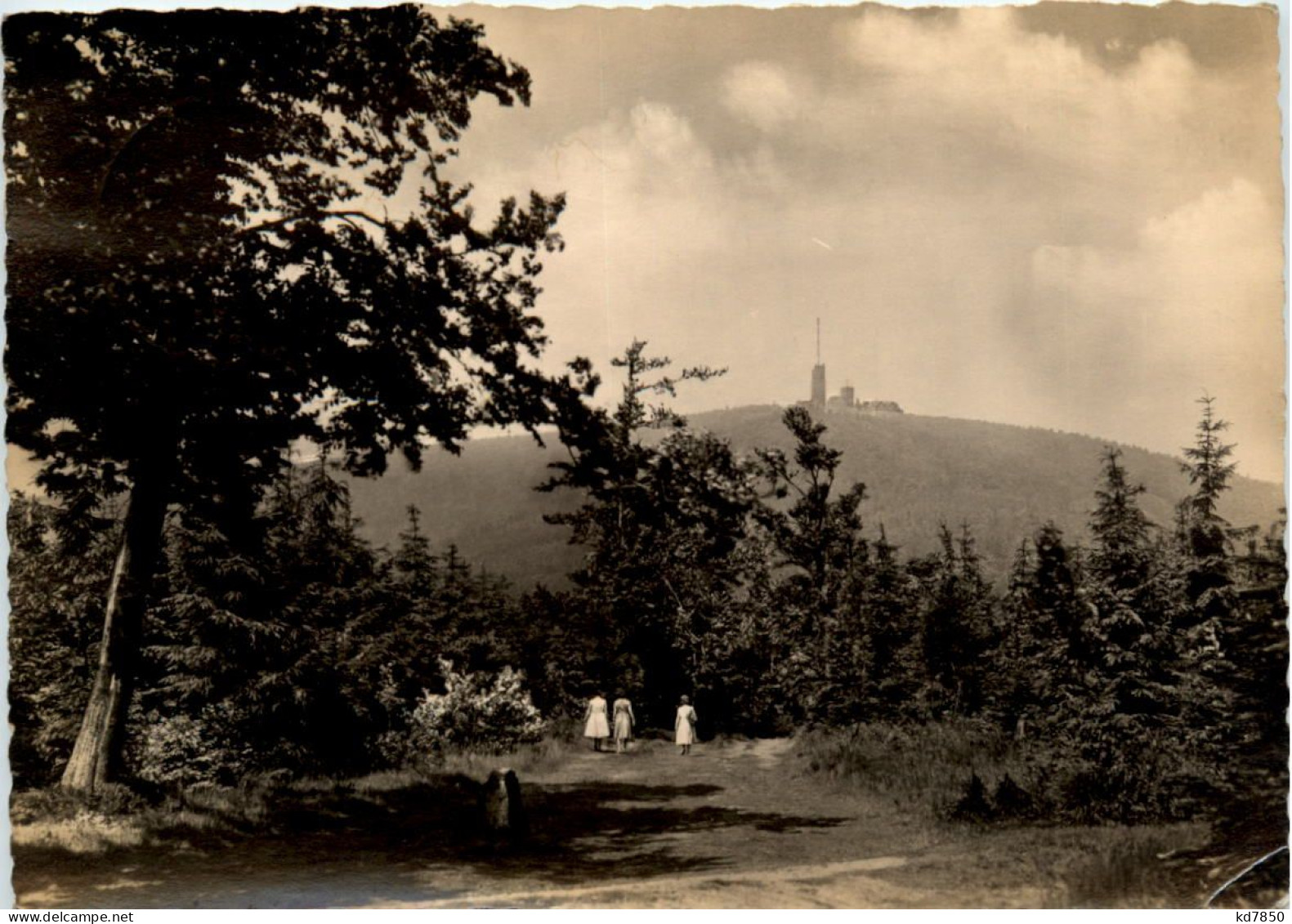 Blick Vom Rennsteig Zum Grossen Inselsberg - Autres & Non Classés