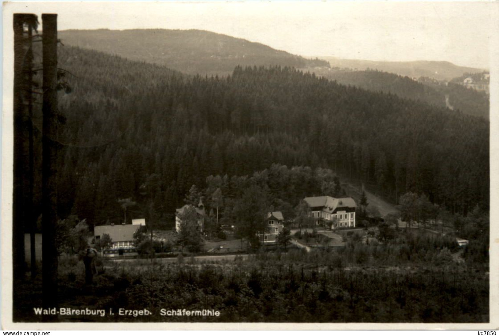 Wald-Bärenburg, Schäfermühle - Altenberg