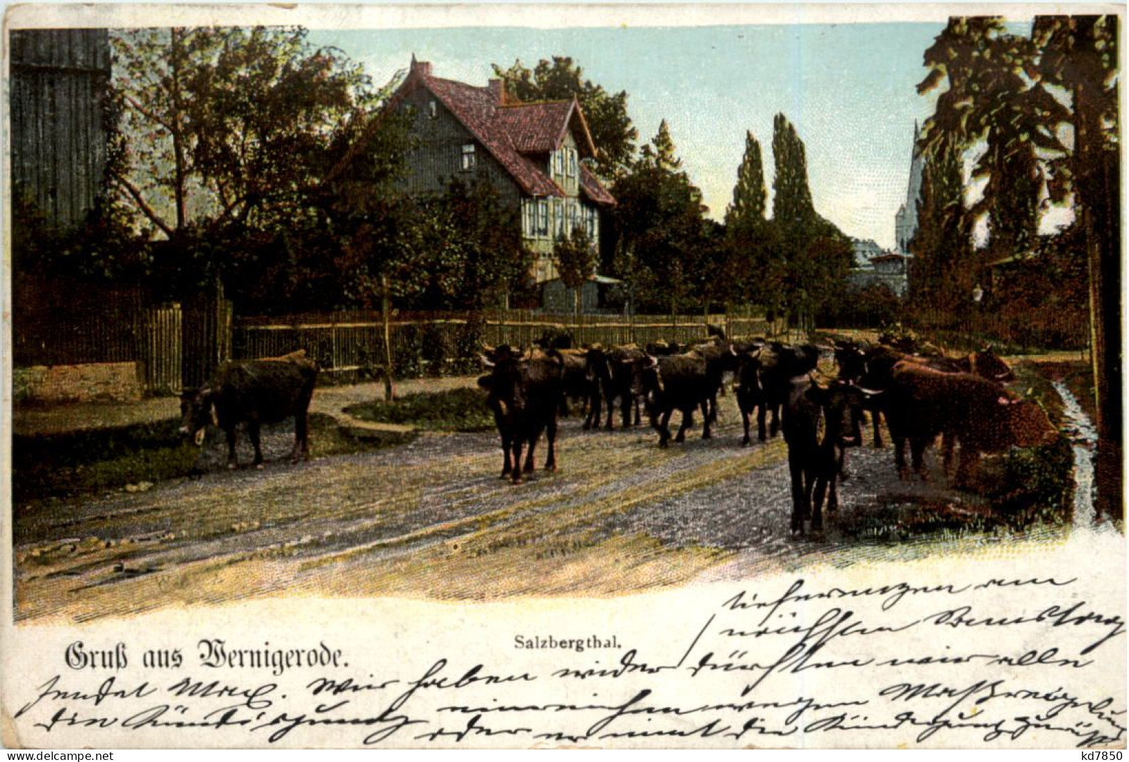 Gruss Aus Wernigerode, Salzbergthal - Wernigerode