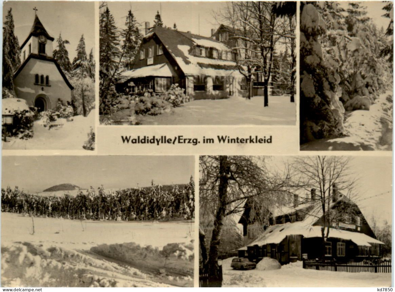 Waldidylle/Erzgeb. Im Winterkleid - Altenberg