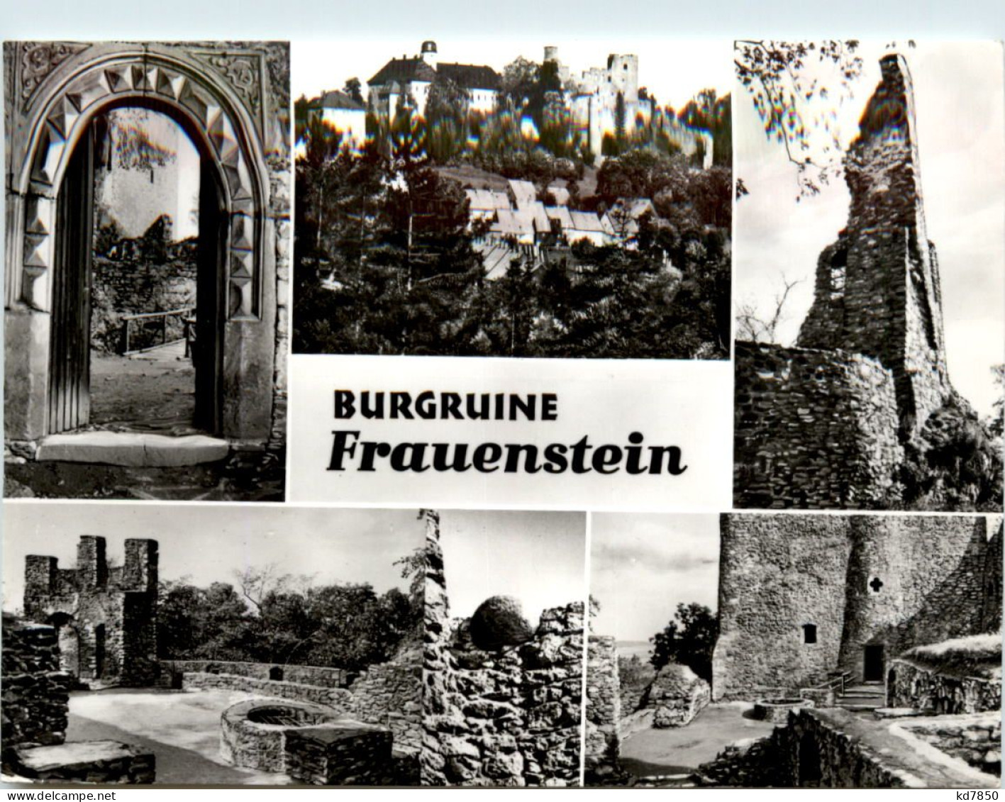 Burgruine Frauenstein I. Erzgeb., Div. Bilder - Frauenstein (Erzgeb.)