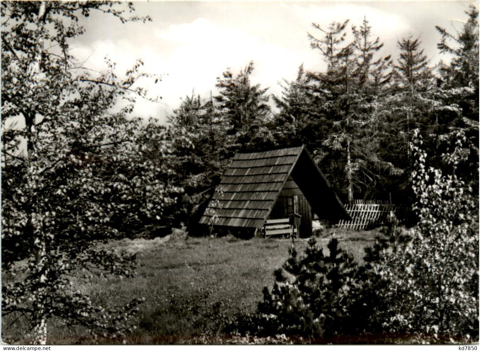 Zinnwald Im Erzgebirge, NSG Georgenfelder Hochmoor - Altenberg