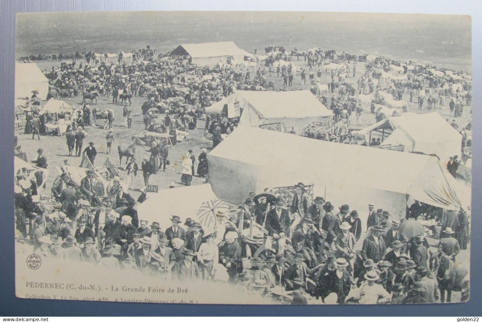 PEDERNEC. La Grande Foire De Bré De Bré. - Andere & Zonder Classificatie