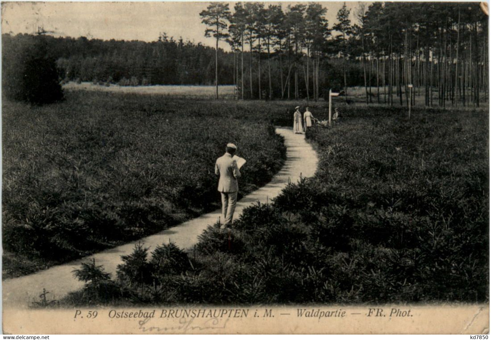 Seebad Brunshaupten, Waldpartie - Rostock