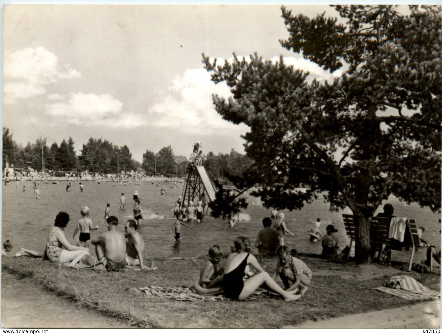 Schneeberg I. Erzgeb., Filzteich - Autres & Non Classés