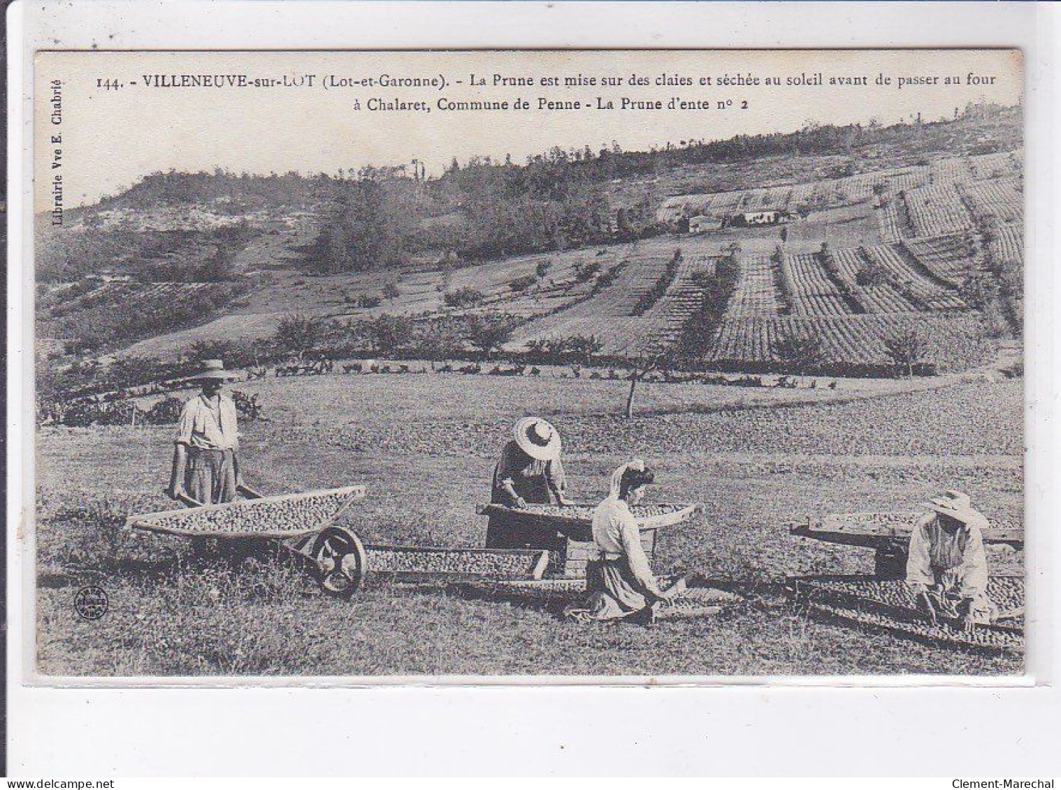 VILLENEUVE-sur-LOT: La Prune Est Mise Sur Des Claies Et Séchée Au Soleil - Très Bon état - Villeneuve Sur Lot