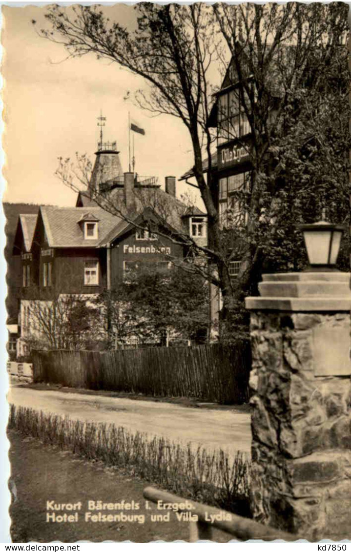 Bärenfels I. Erzgeb., Hotel Felsenburg Und Villa Lydia - Altenberg