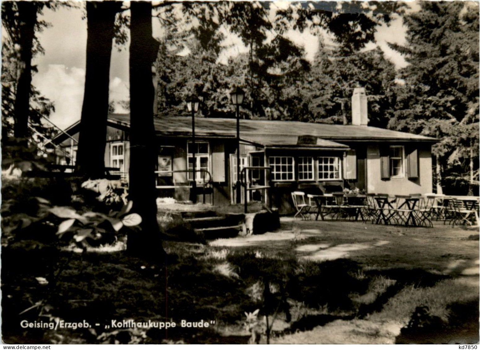 Geising I. Erzgeb., Kohlhaukuppe Baude - Altenberg